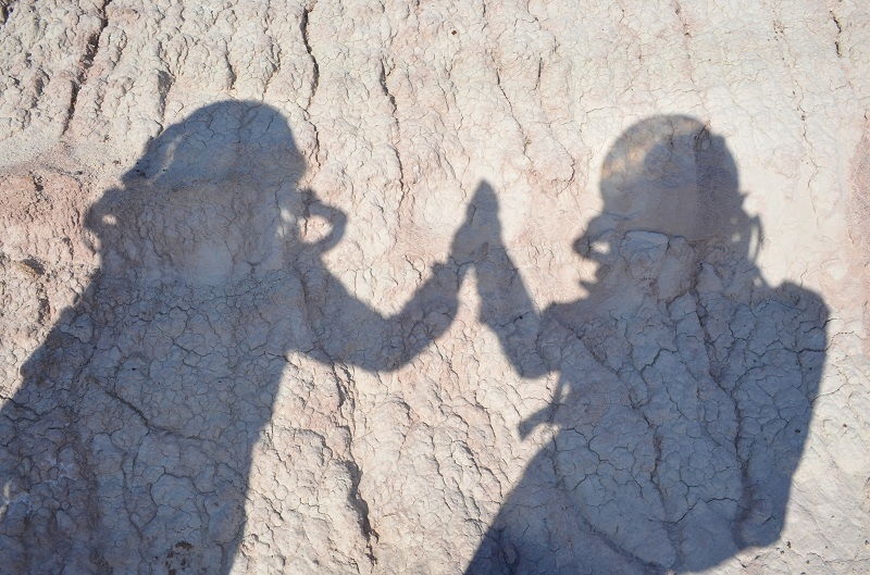 Manned Mars Missions: How Will Astronauts Get Along?